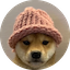dogwifhat